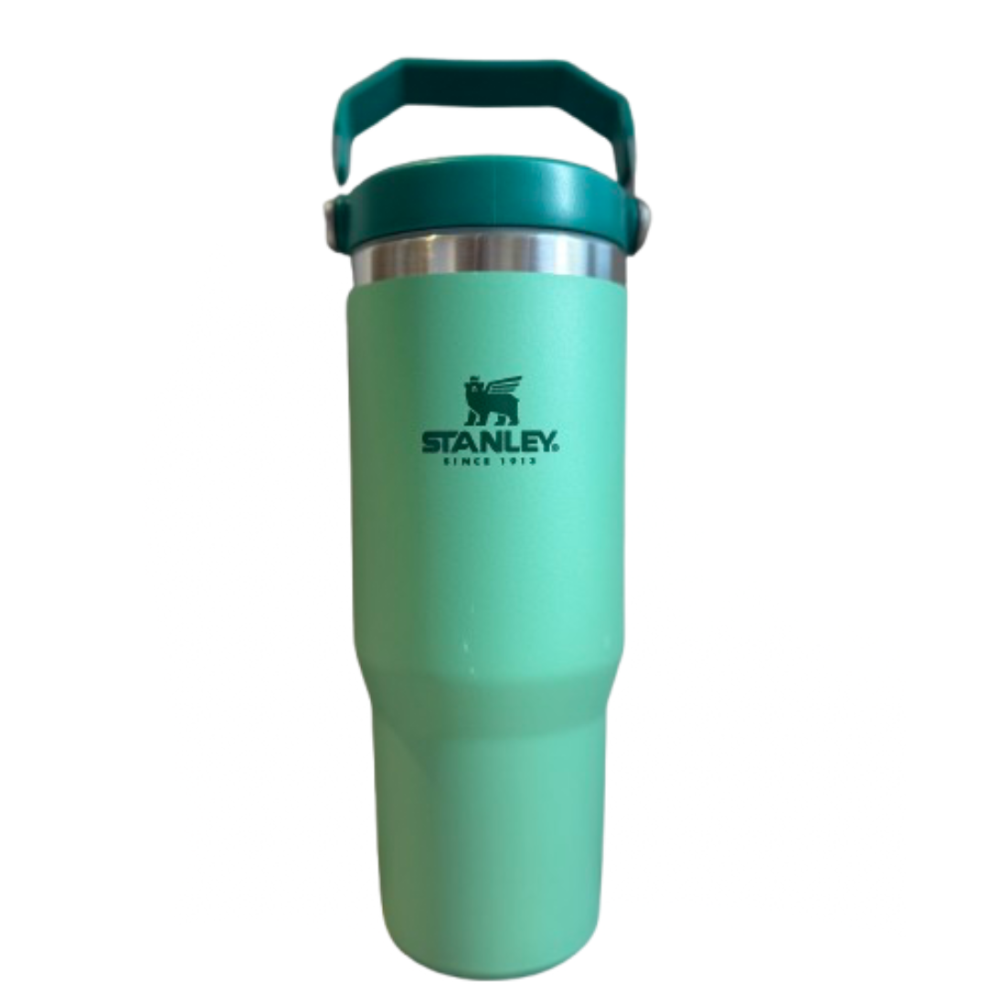 Stanley Classic IceFlow Flip Straw Tumbler 30oz - imane Habibi